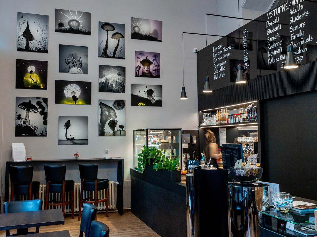 Leica Gallery Prague-布拉格必去景点