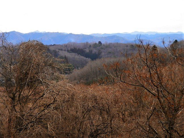 Kokuei Ennadaichi Ume no Sato-那须乌山市必去景点