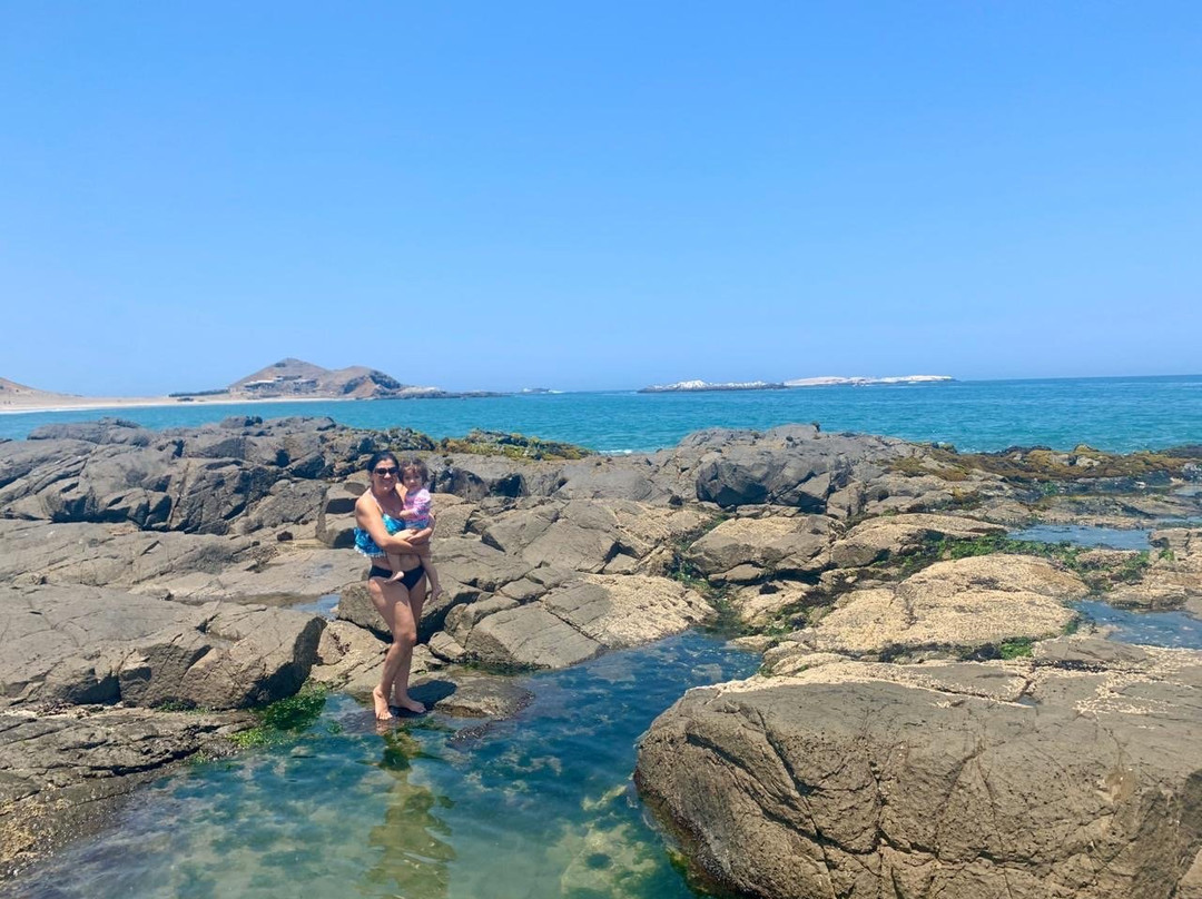 Playa Punta Patillos-Huarmey必去景点