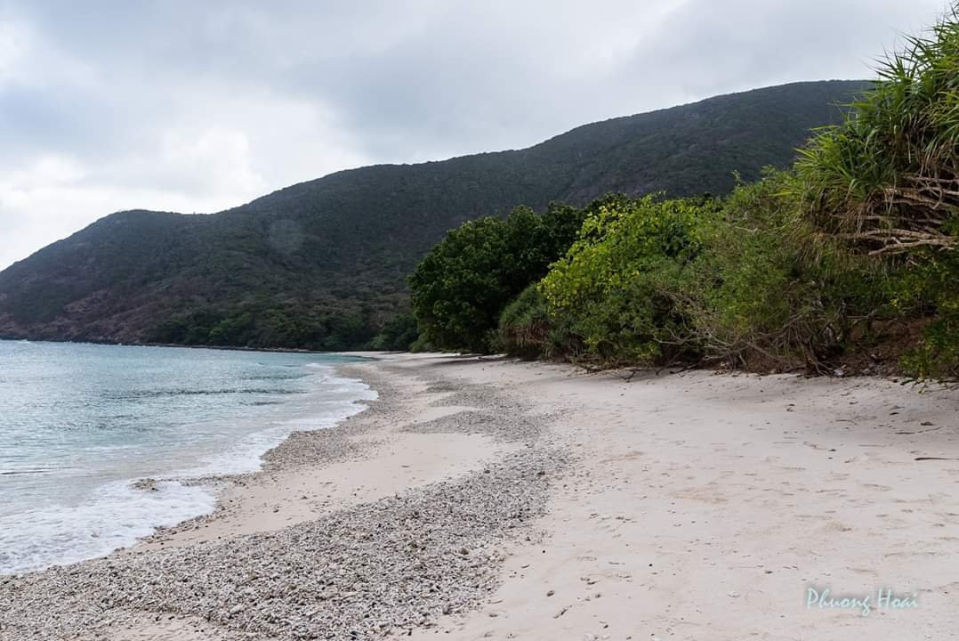 Bay Canh Island景点图片