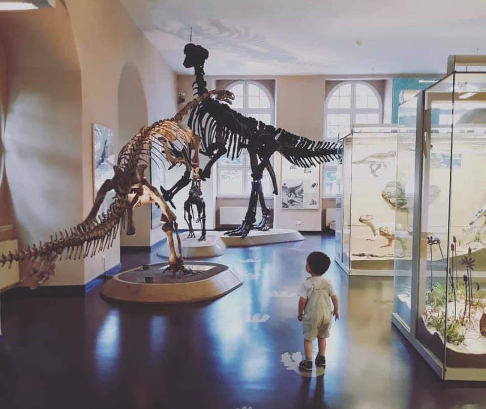 Naturkundemuseum im Ottoneum-卡塞尔行政区必去景点