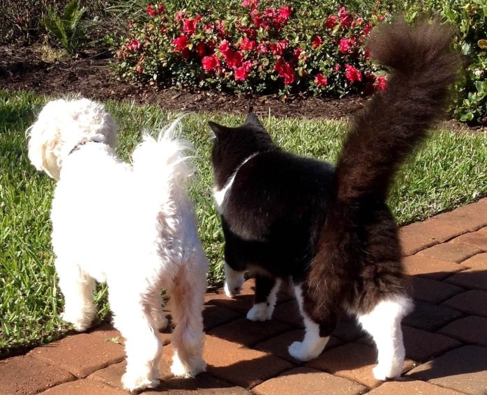 Red Roof Inn Jacksonville - Orange Park-浴室