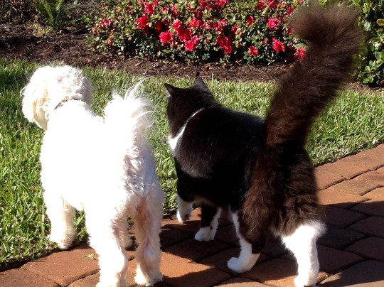 Red Roof Inn Jacksonville - Orange Park主图