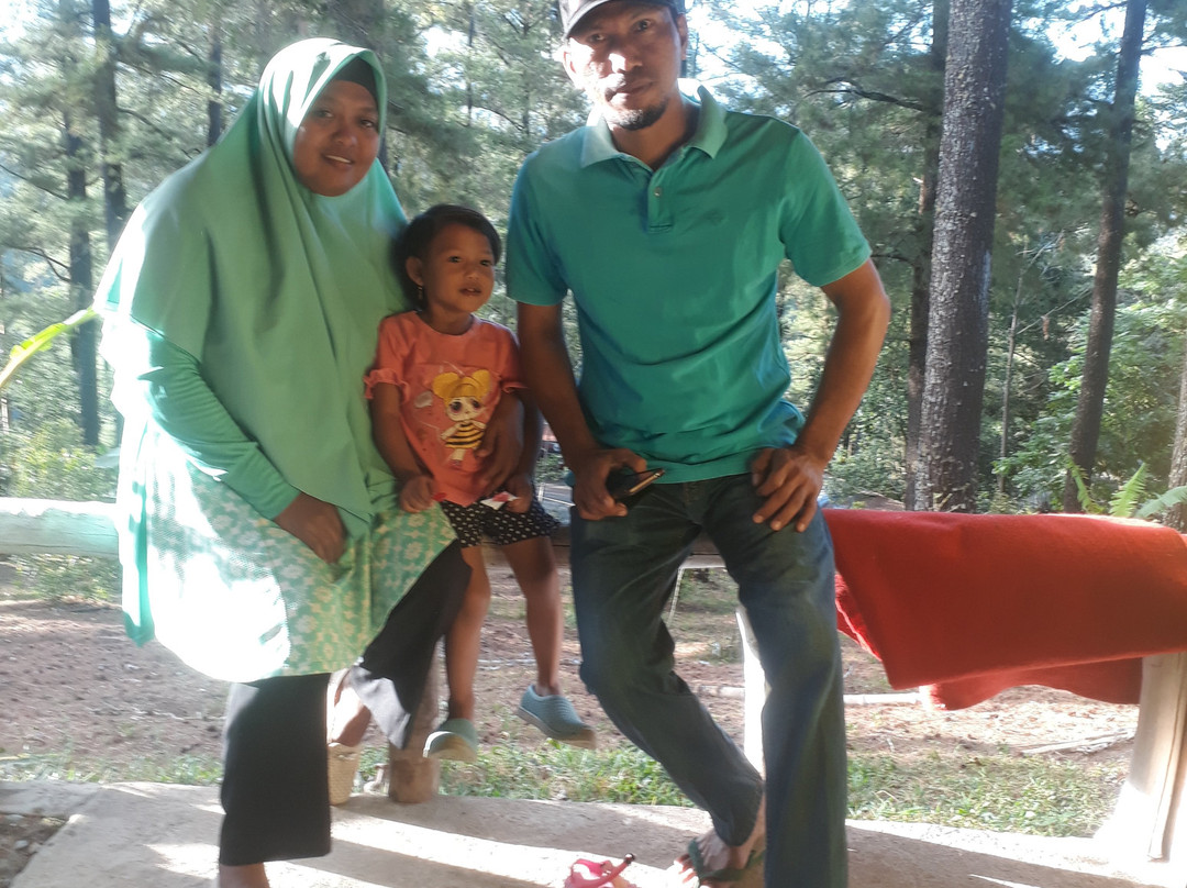 Malino Pine Forest-Malino必去景点