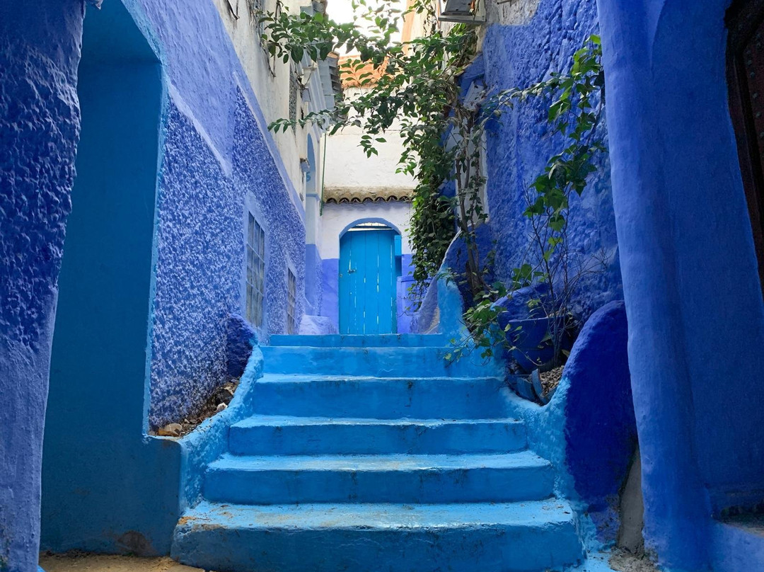 Nytny Tours-瓦尔扎扎特必去景点