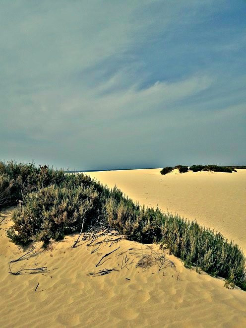 Praia de Santa Monica-博阿维斯塔必去景点