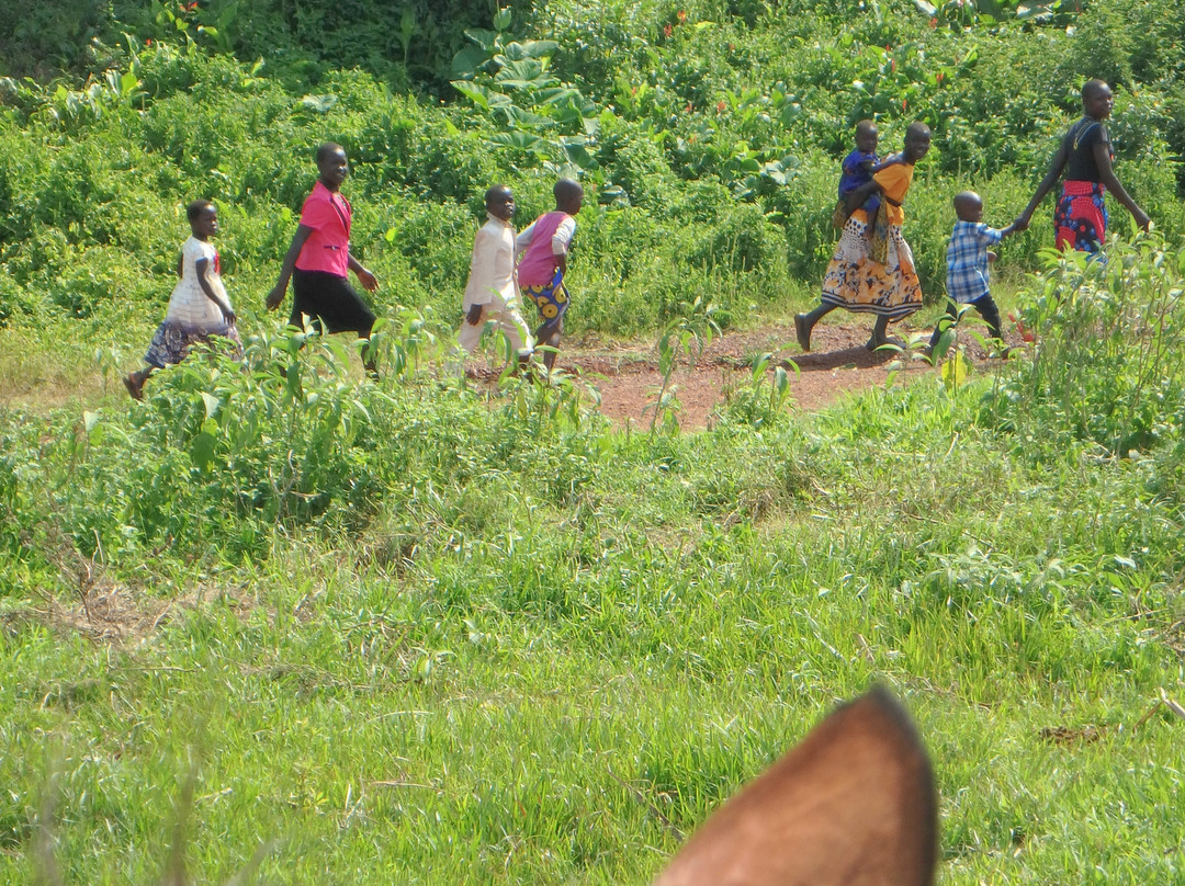 Nile Horseback Safaris - Day Tours景点图片