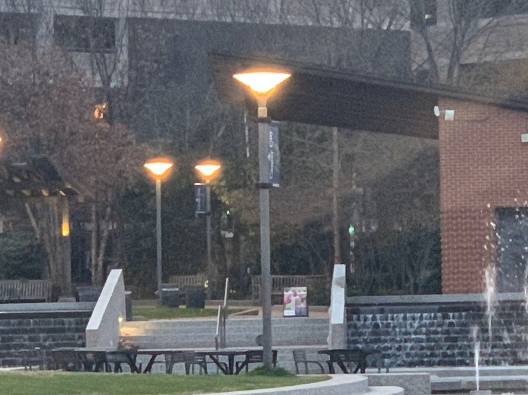 Center City Park景点图片