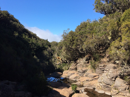 Levadas Madeira-沙尔必去景点