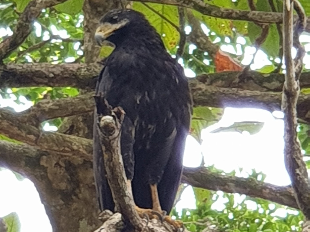 Bluff Beach Retreat主图