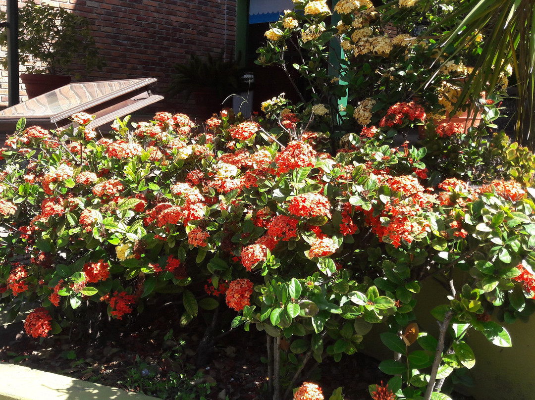 Hotel Solar del Acuario主图