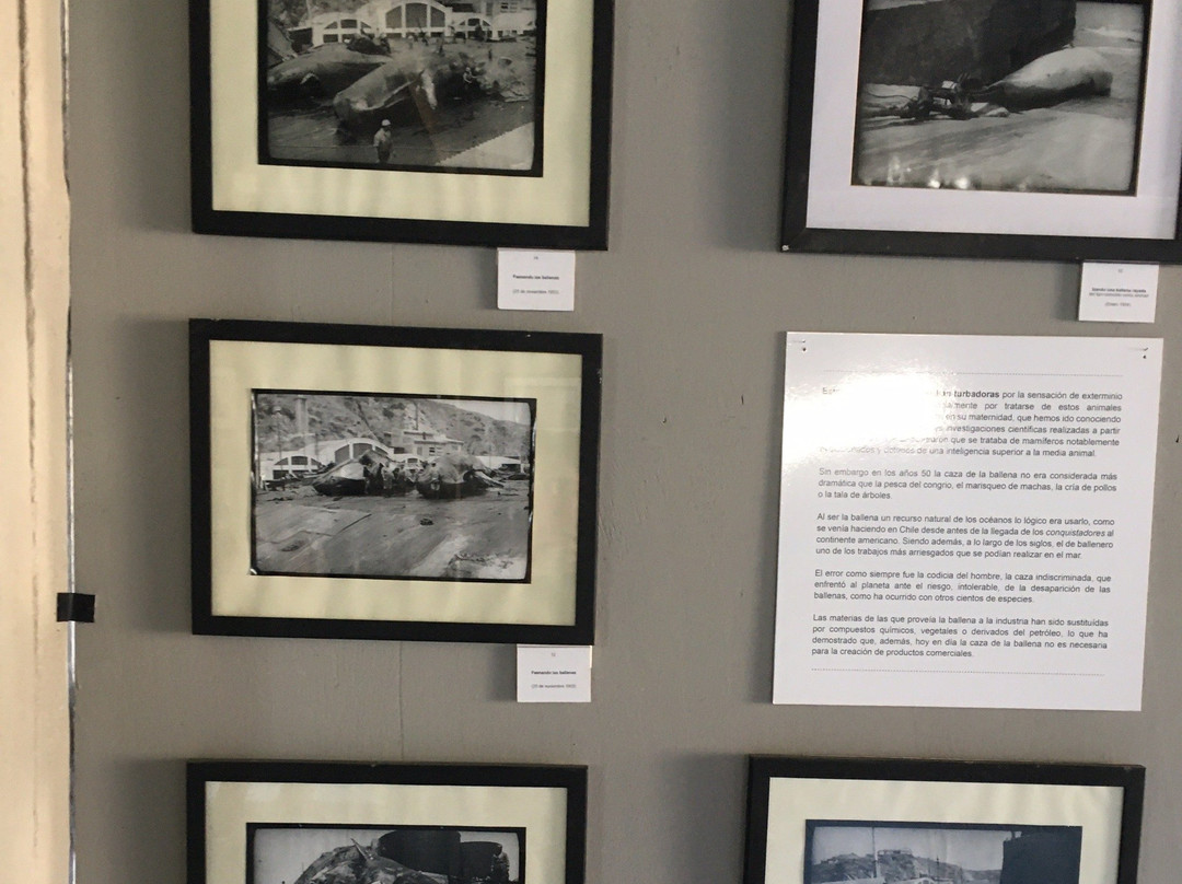 Museo Ex Ballenera de Quintay-Quintay必去景点