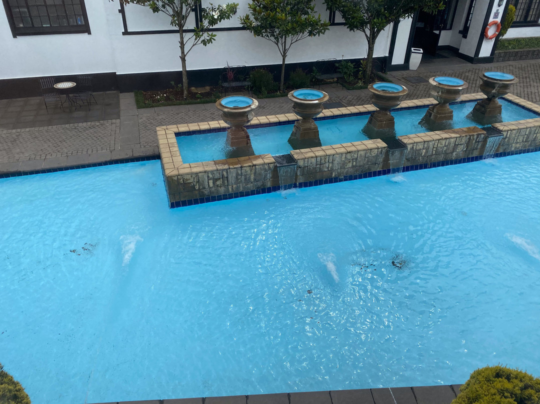 ANEW Hotel Hilton Pietermaritzburg主图