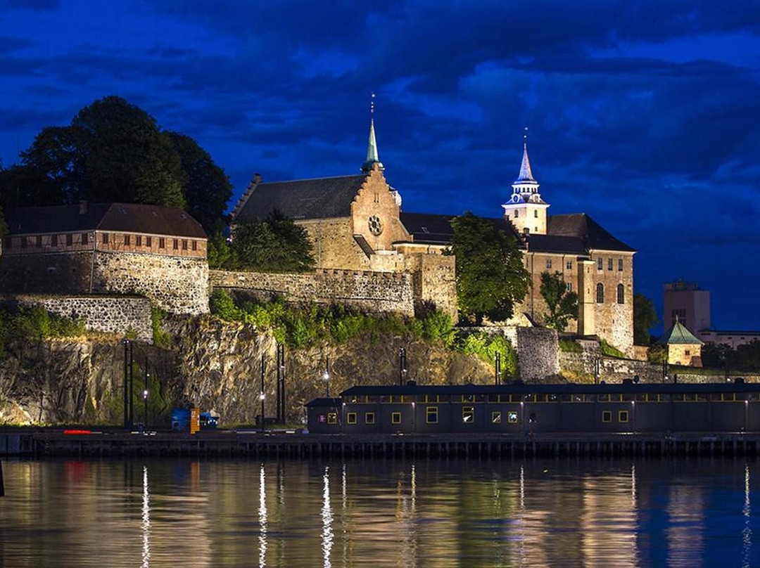 Guided Fjord Tours - Bergen-奥斯陆必去景点