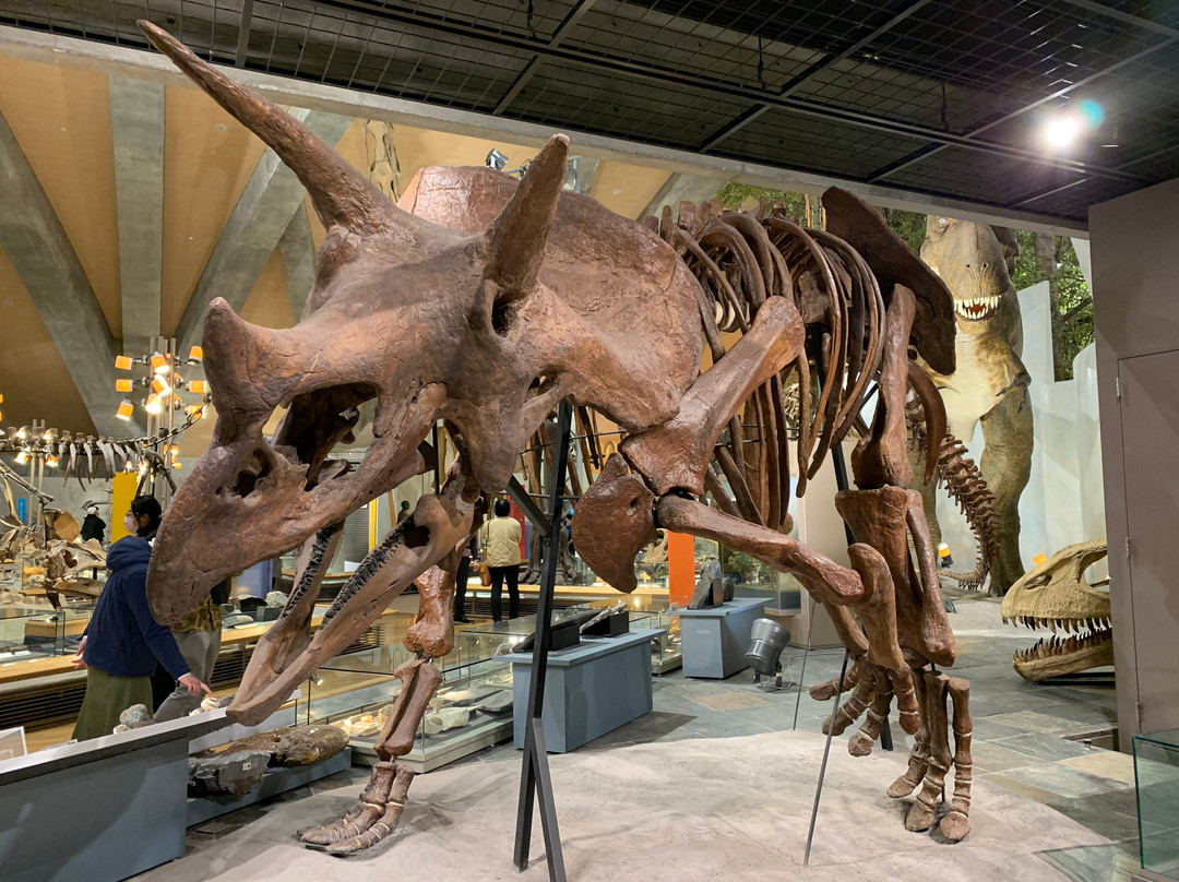 Gunma Natural Museum景点图片