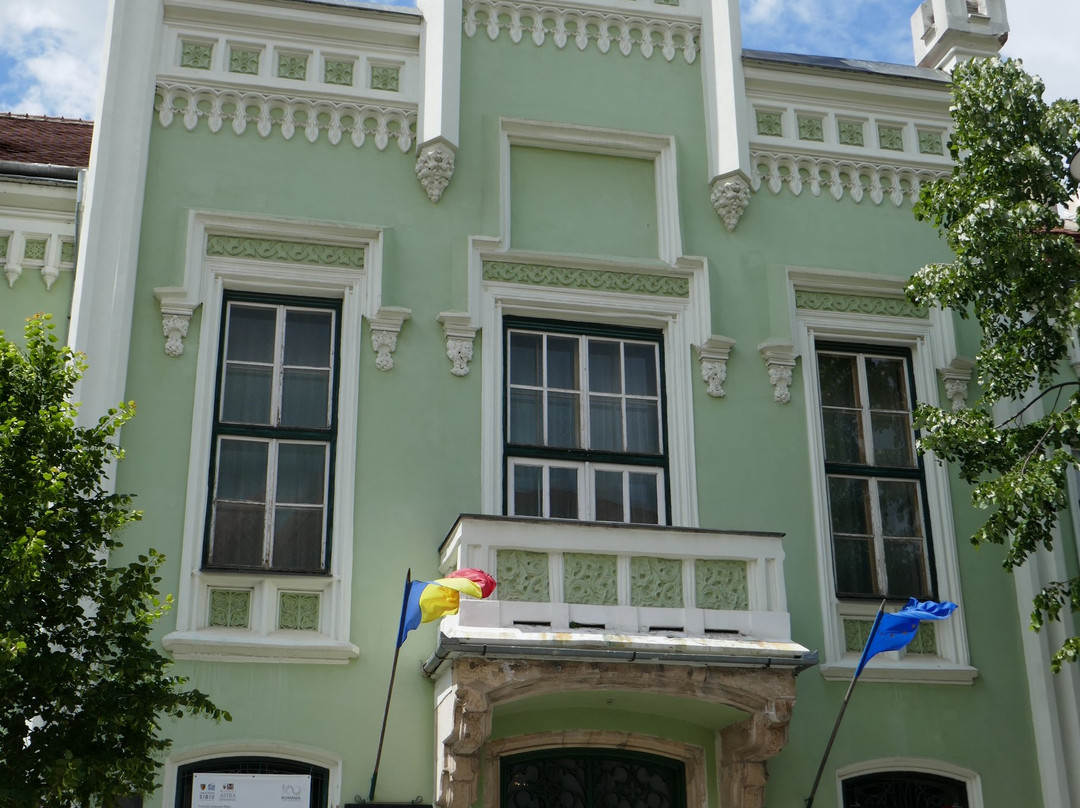 Franz Binder World Ethnographic Museum景点图片