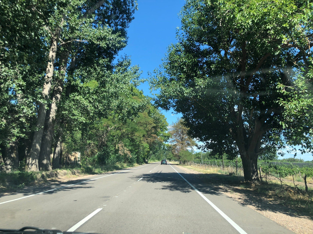 Yancanelo-圣拉斐尔必去景点