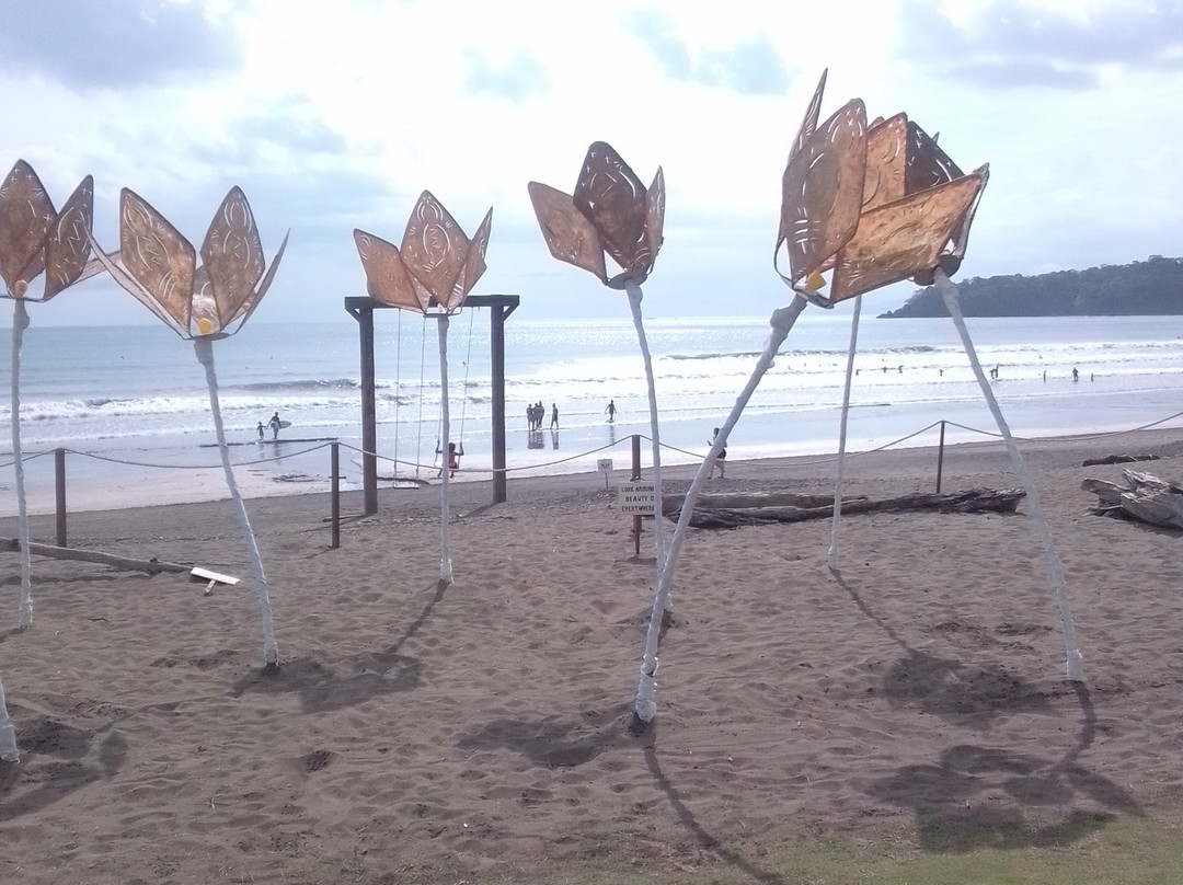 Playa Venao Beach景点图片
