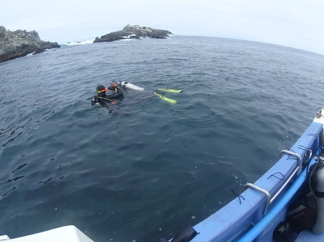 Buceo Quintay-Quintay必去景点