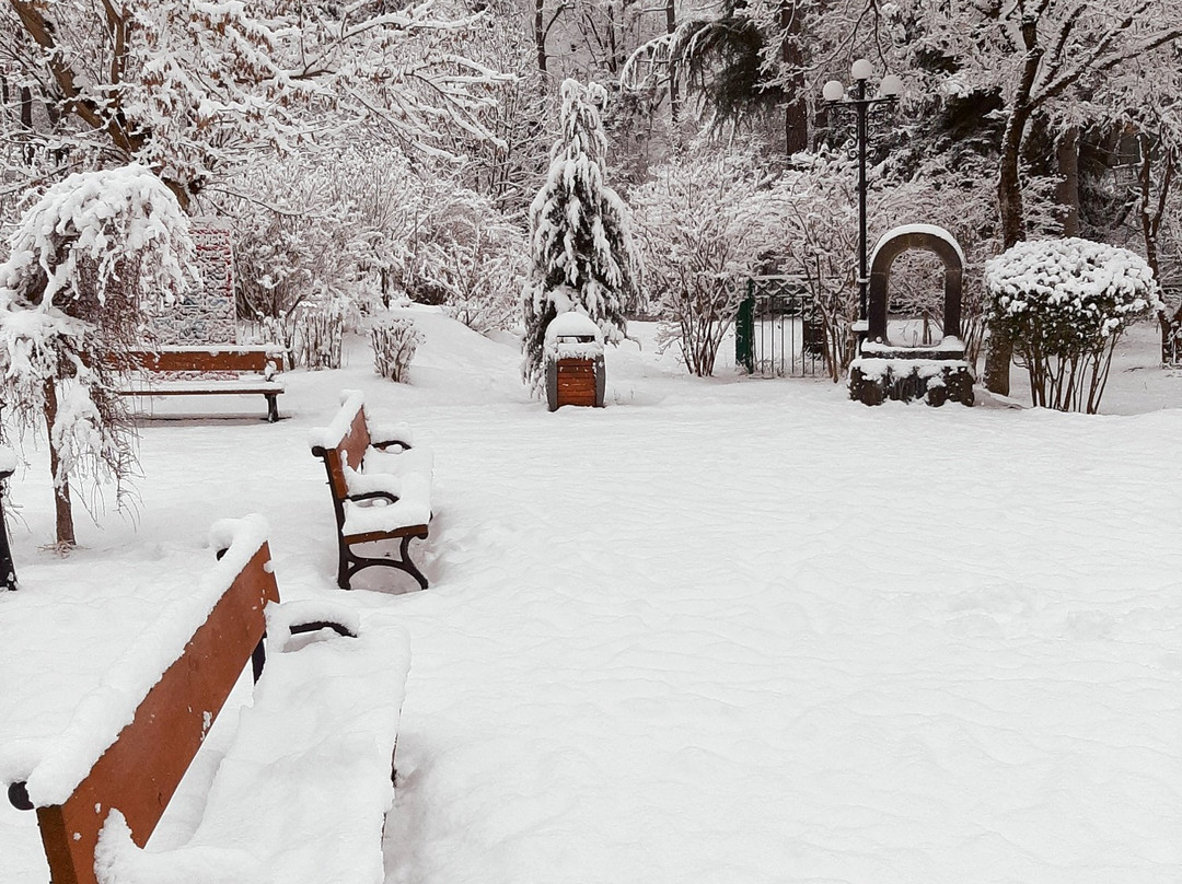 Borjomi Central Park-Borjomi必去景点