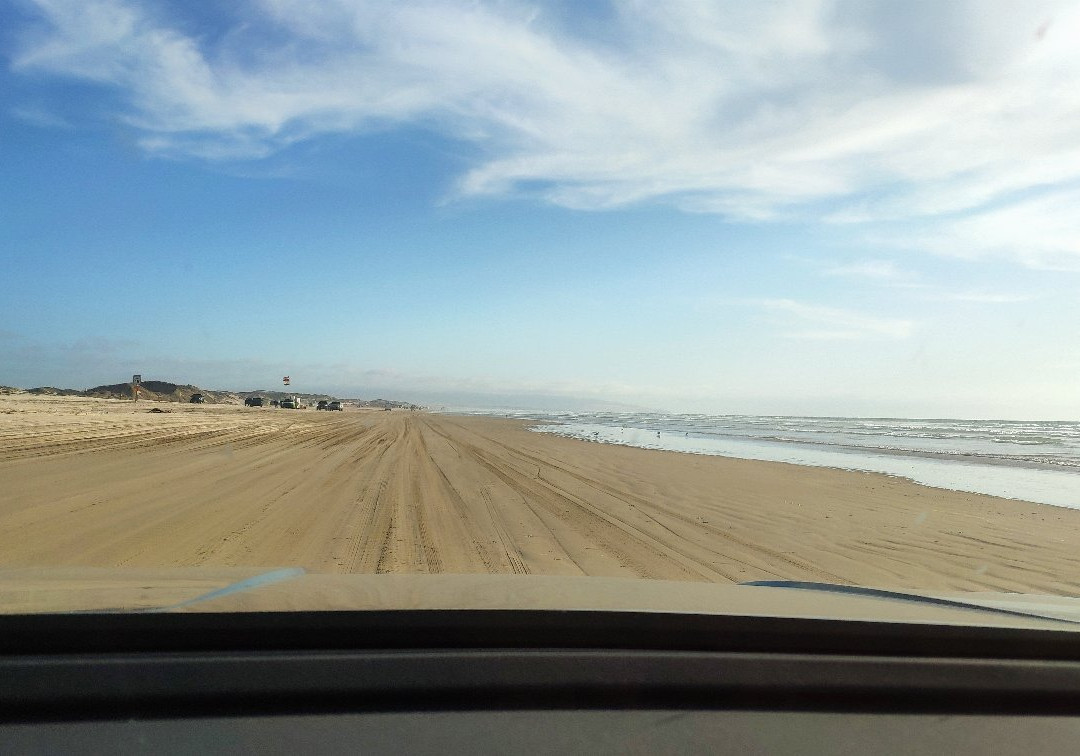 Pismo State Beach景点图片