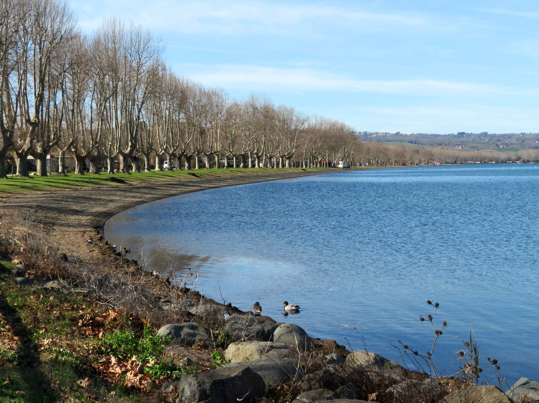 Spiaggia di Capodimonte-Capodimonte必去景点