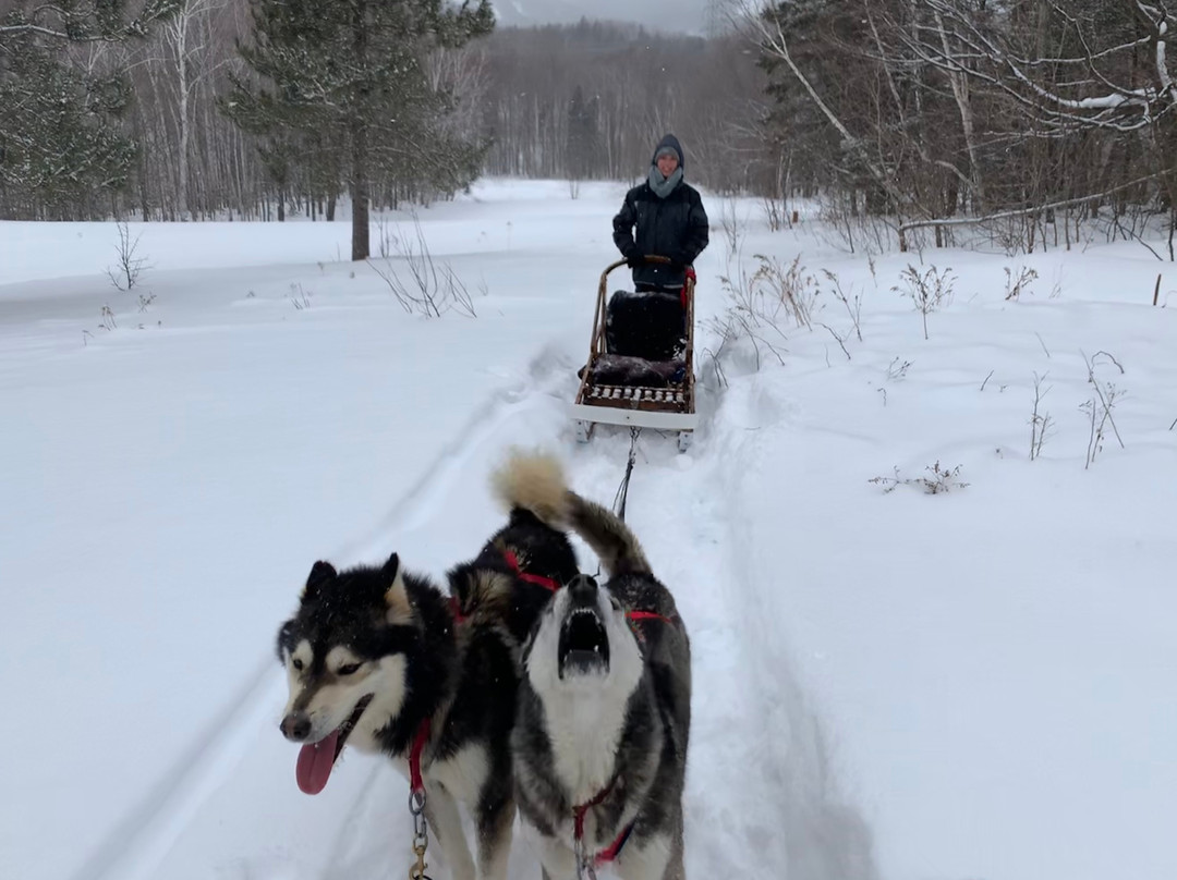 Secrets Nordiques Day Tours-博普雷必去景点