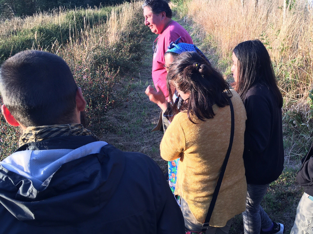 Lago Budi-Puerto Saavedra必去景点