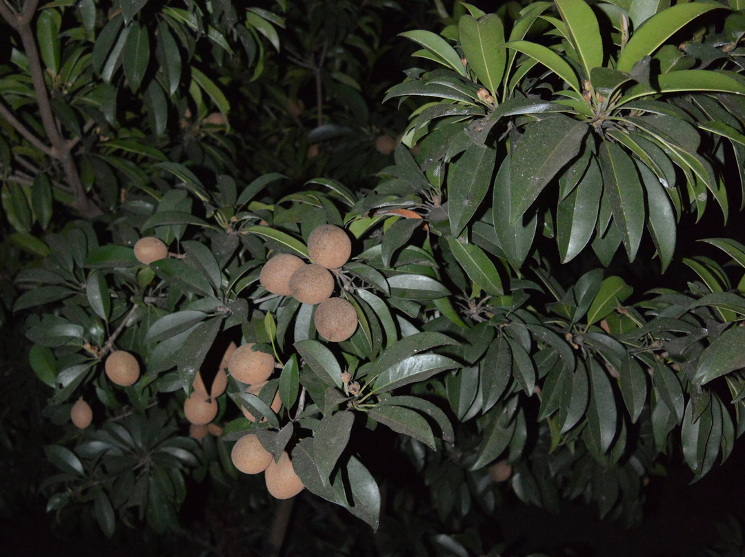 O'Nest by The Beach主图