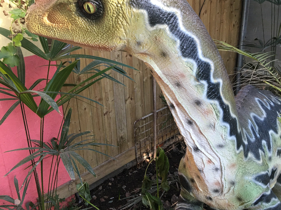 Tropicaland La Jungle Aux Dinosaures景点图片