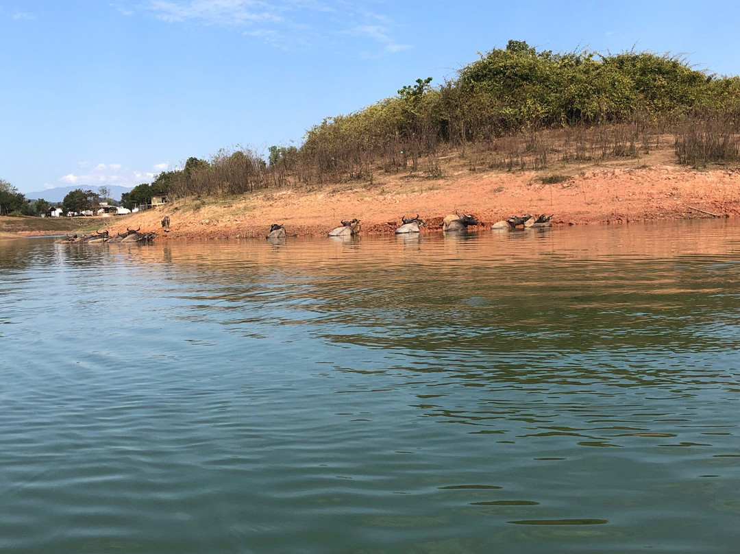 Green View Resort Laos主图