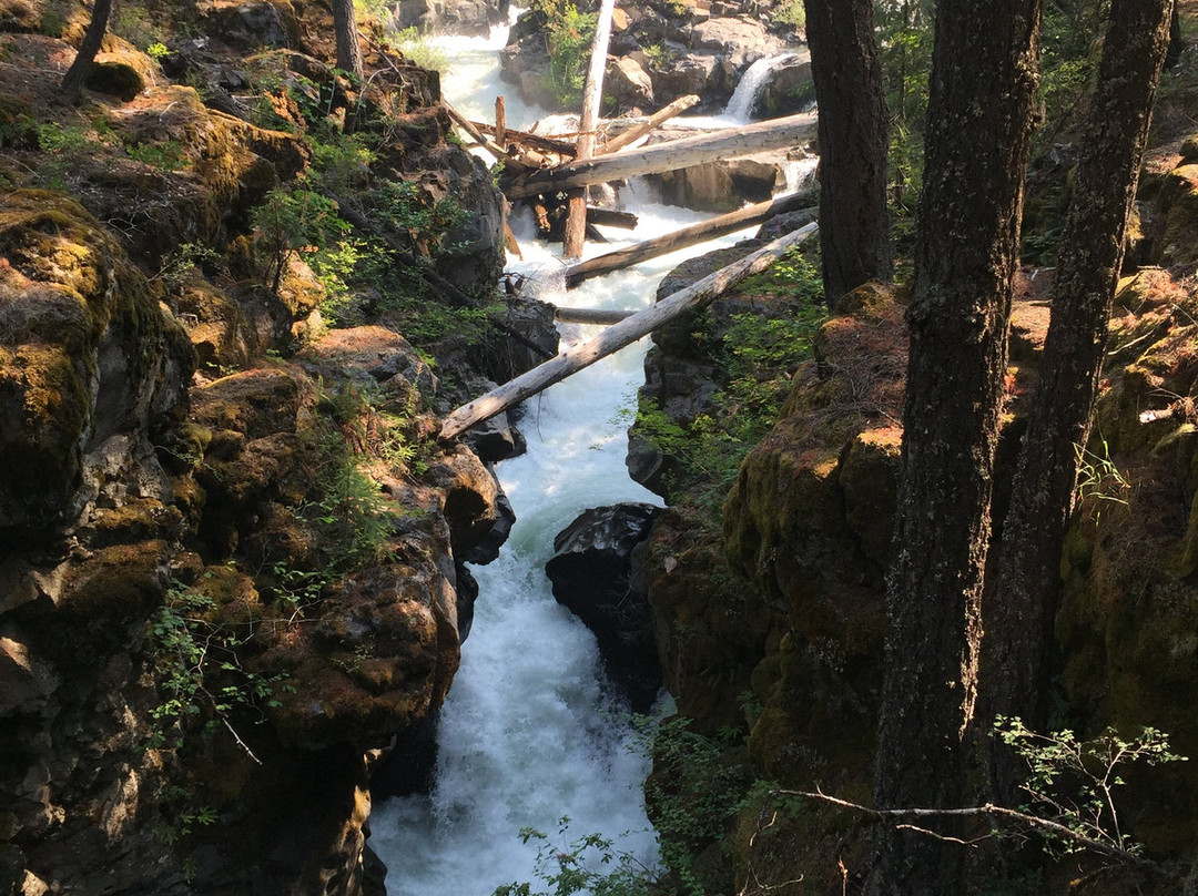 Rogue River Gorge Viewpoint-Prospect必去景点