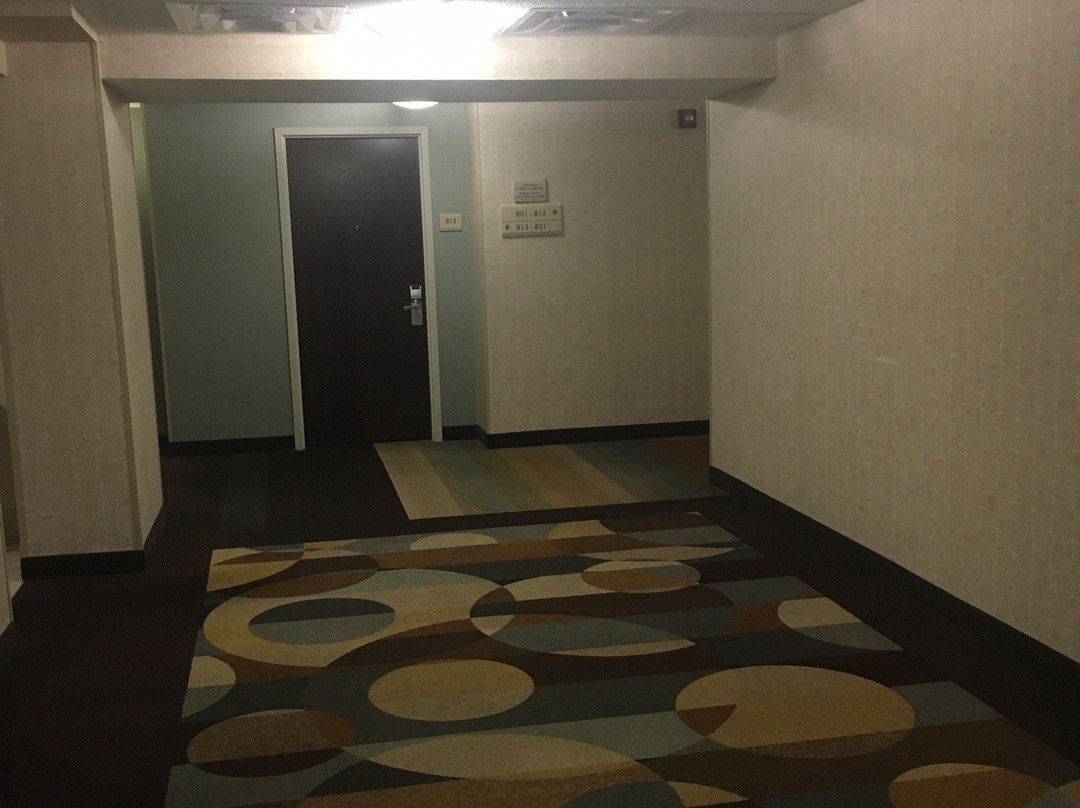 曼凯托市中心希尔顿花园酒店主图