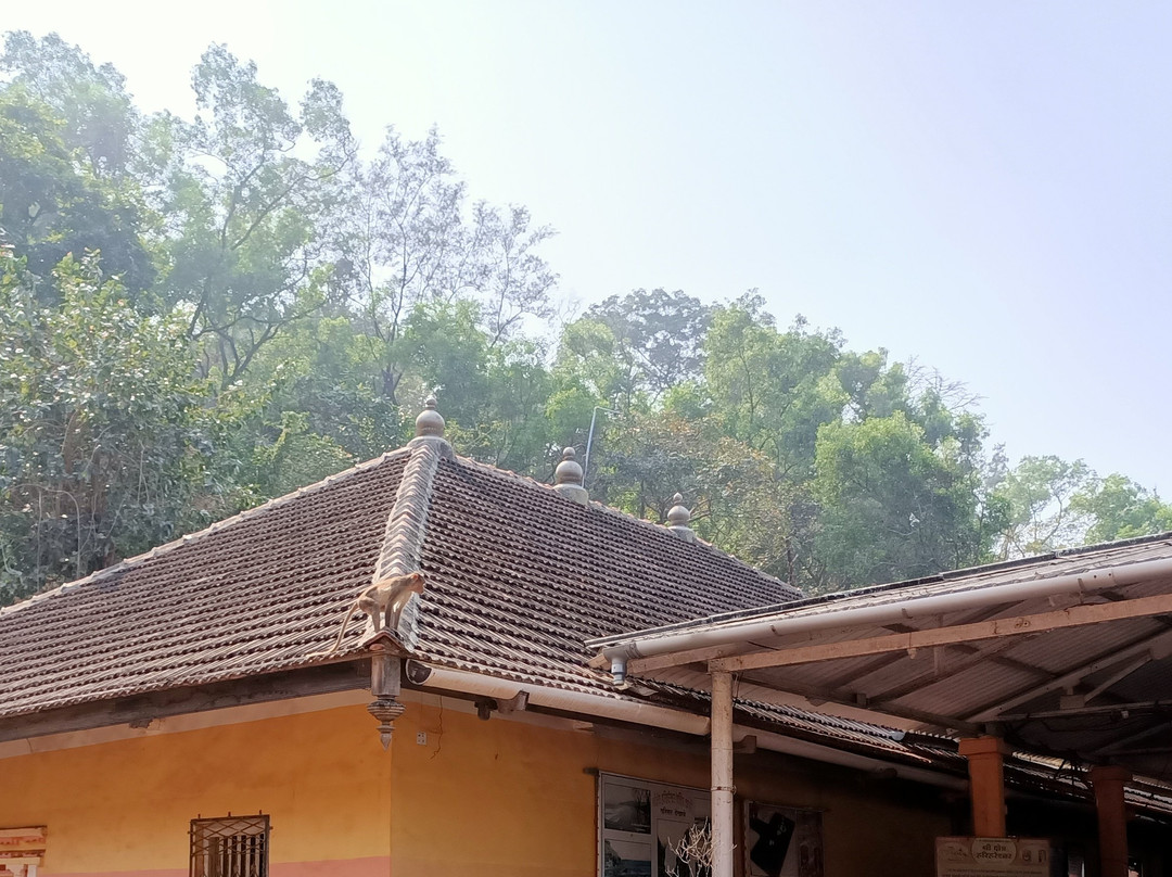 Lord Shiva Temple-Shrivardhan必去景点