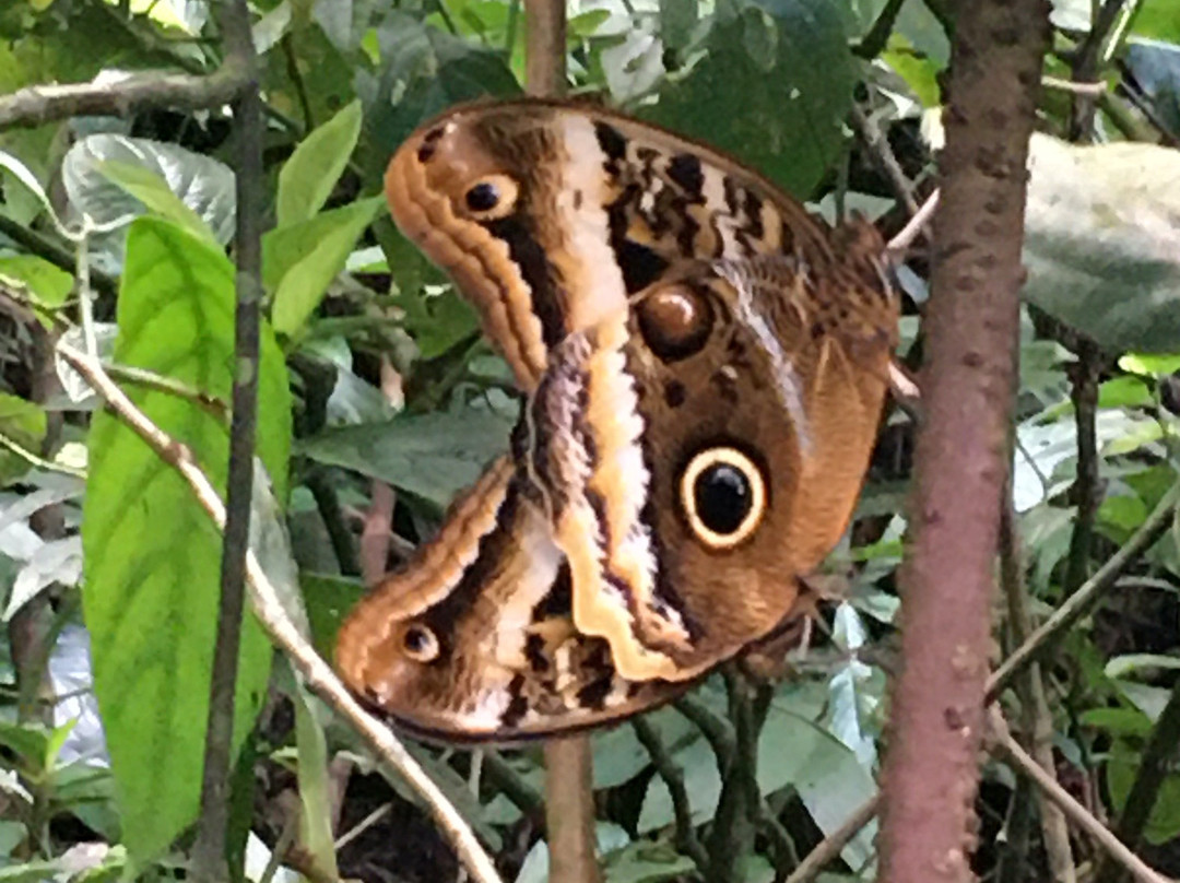 Sendero Cerro Tortuguero景点图片