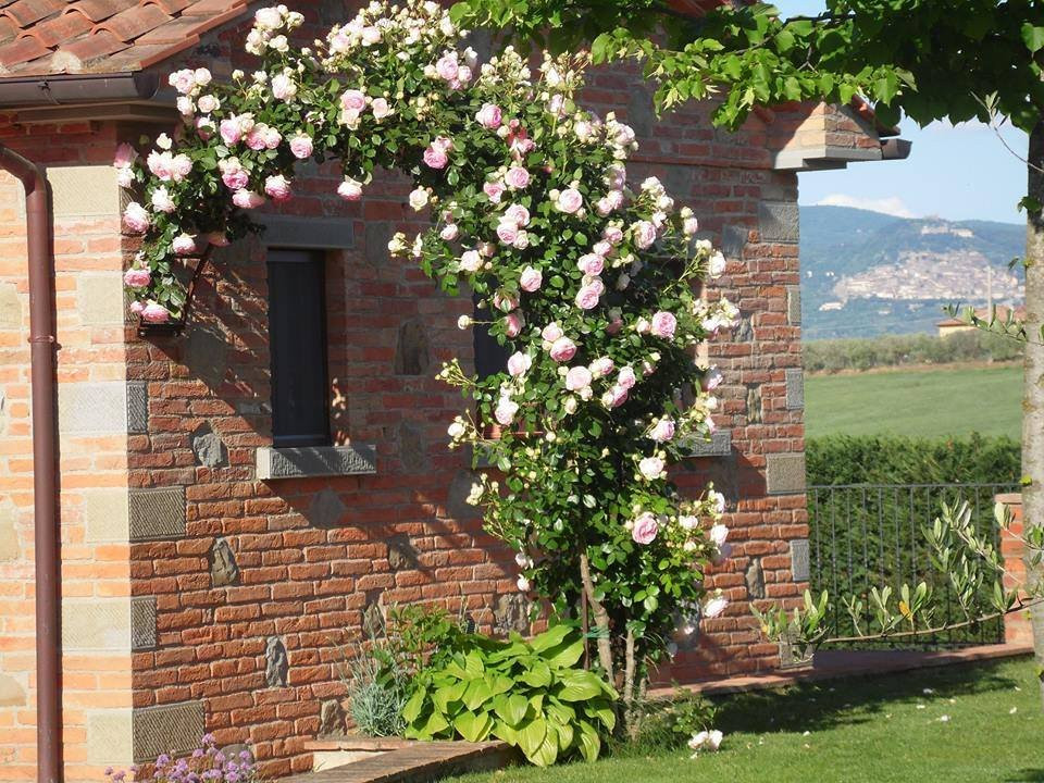Villa Rosa dei Venti