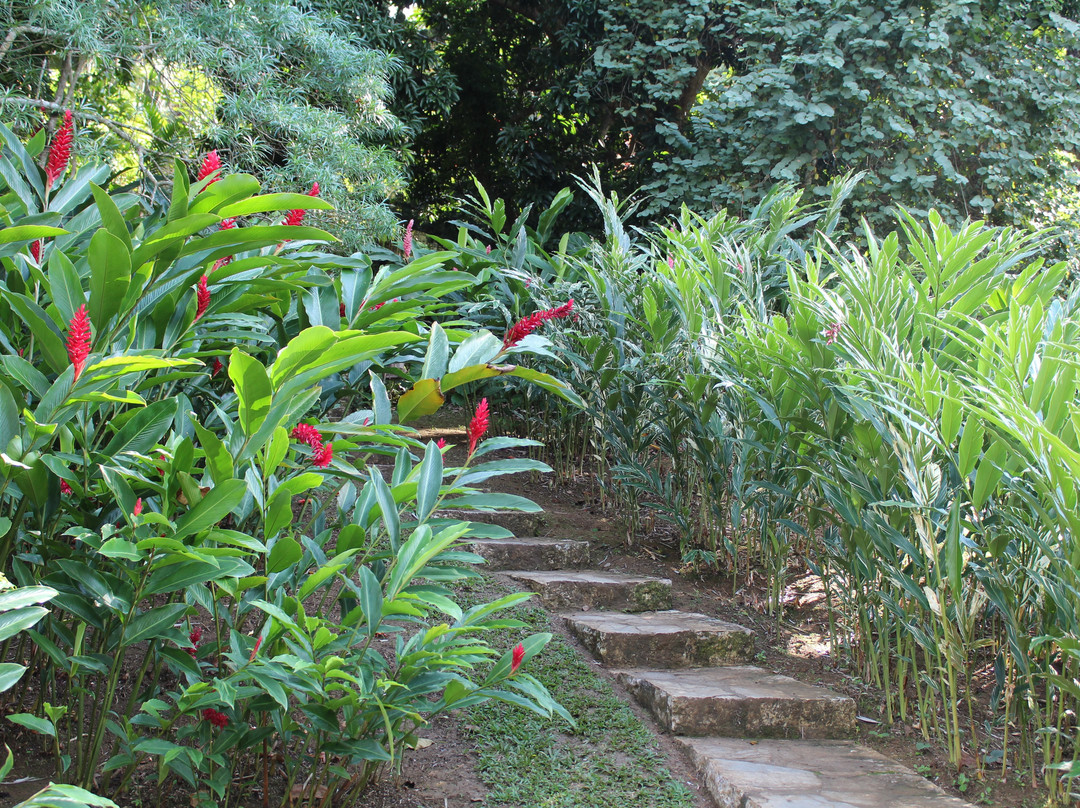 Soroa Orchid Botanical Garden-Soroa必去景点