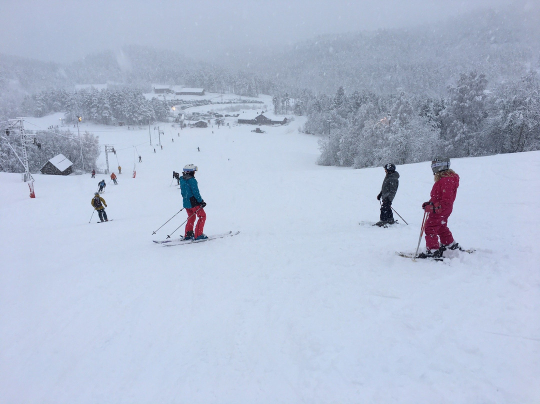 Sogn Skisenter景点图片