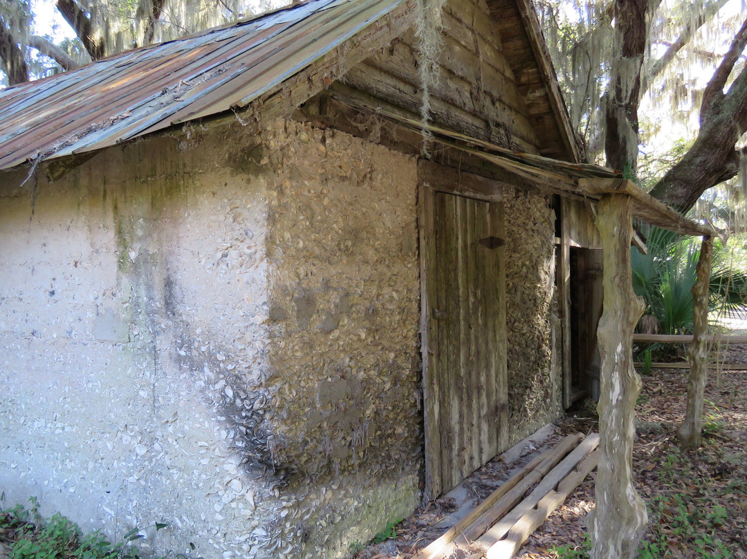 Cannon's Point Preserve-圣西蒙斯岛必去景点
