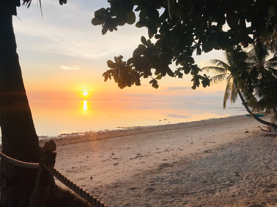 麦凯珊瑚礁度假村主图