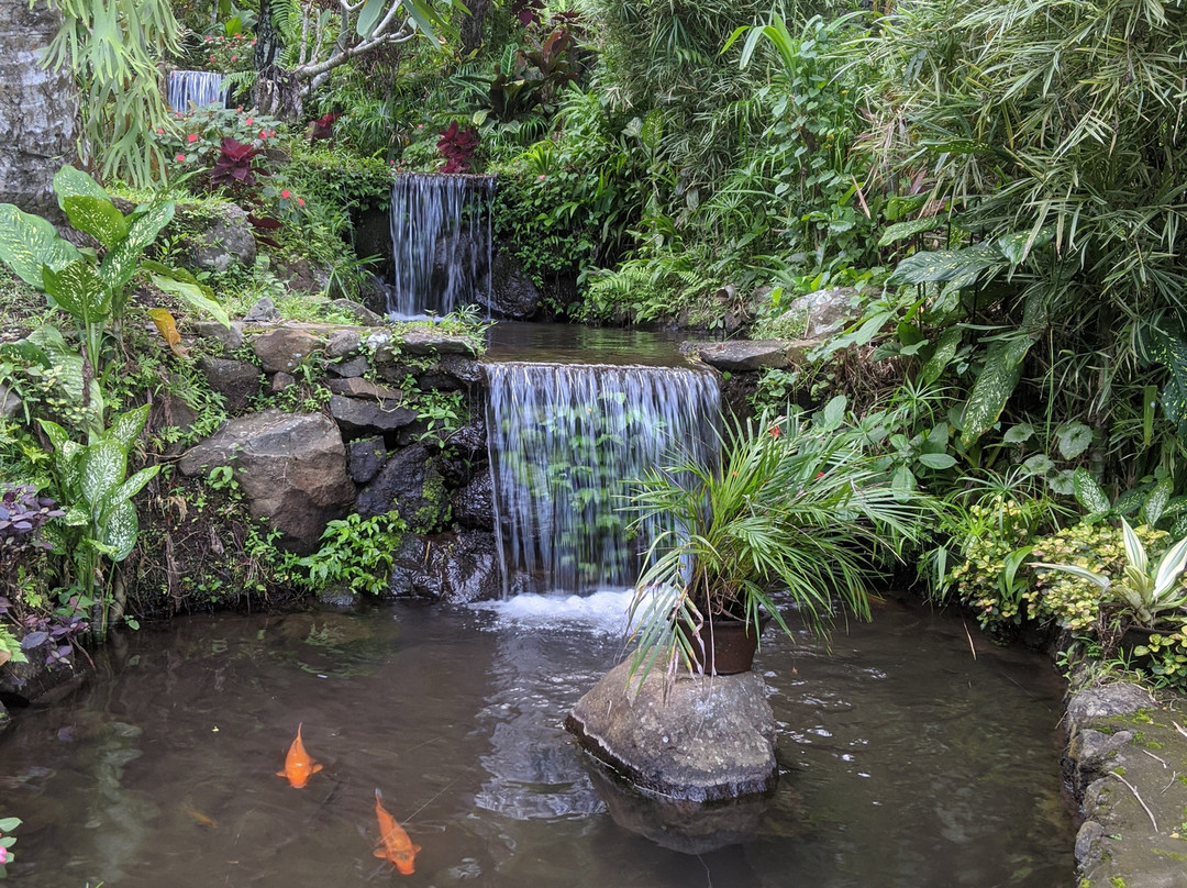 Jembong Waterfall景点图片