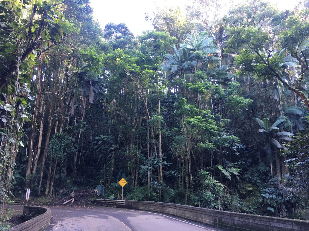 Hamakua Guesthouse主图