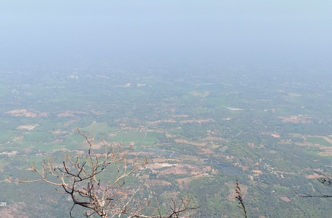 Meenampara View Point-Nelliyampathy必去景点