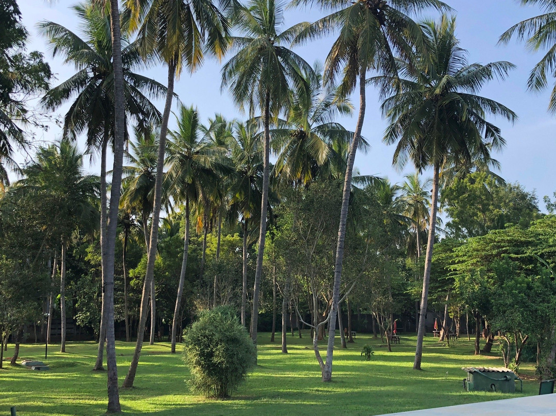 迪达斯阿拉纳酒店主图