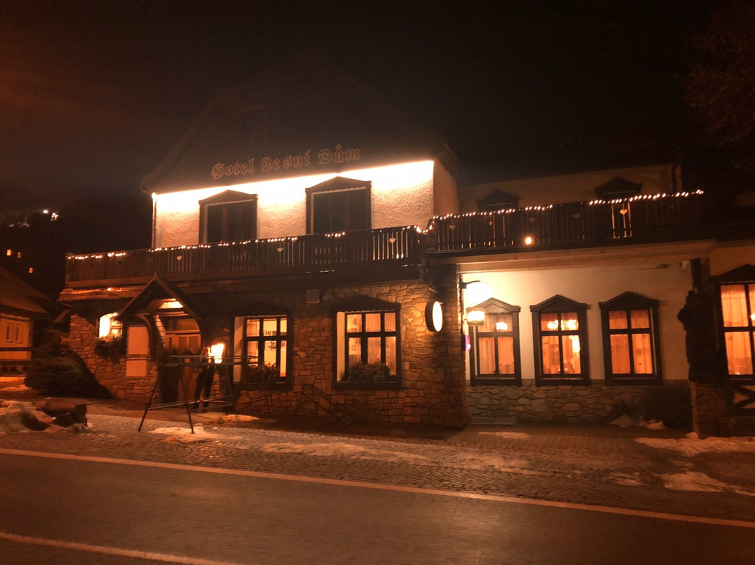 Hotel Lesni dum