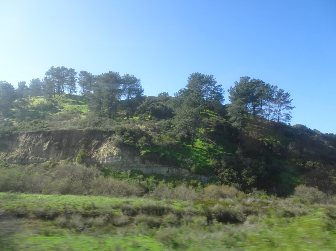 COASTER-欧申赛德必去景点