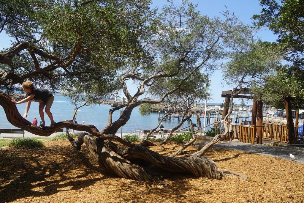 Beach Cove Belmore Basin-卧龙岗市必去景点