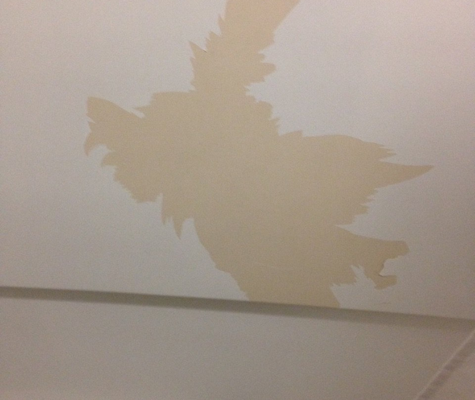 Super 8 by Wyndham Grants主图