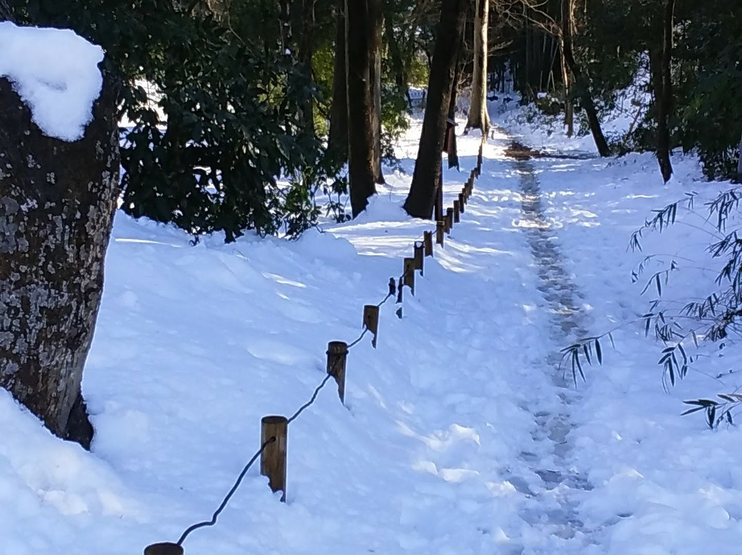Kunitachi Local Culture Museum-国立市必去景点