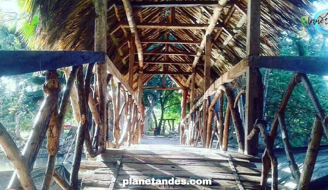 Jardin Botanico de Portoviejo景点图片